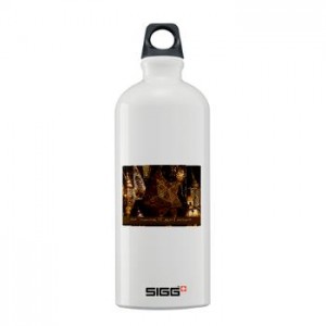 STORE_sigg_water_bottle_06l